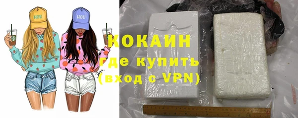 дживик Козельск
