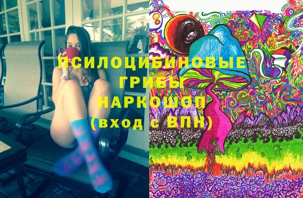дживик Козельск
