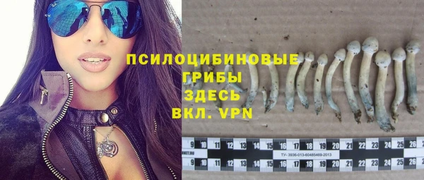 дживик Козельск