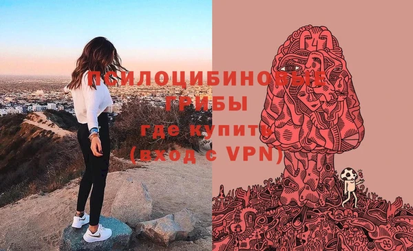 дурь Корсаков