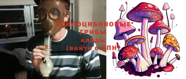 дживик Козельск