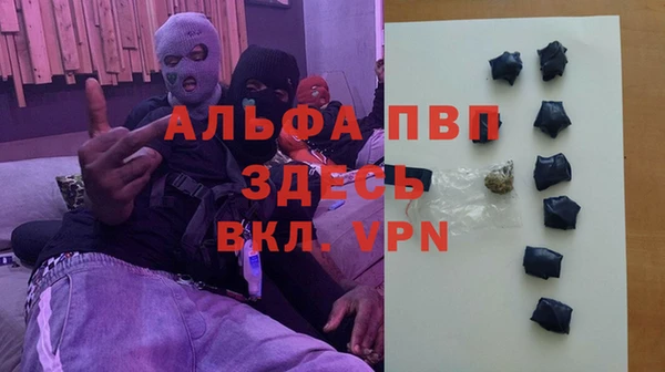 дживик Козельск
