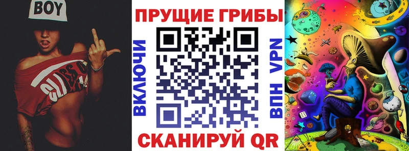 Галлюциногенные грибы Psilocybine cubensis  Качканар 