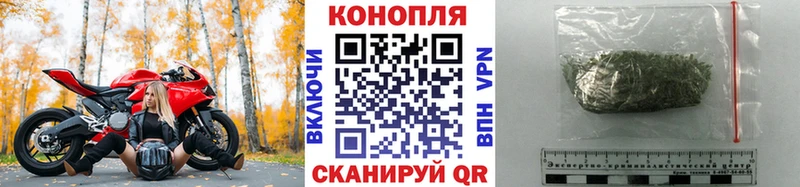 Каннабис SATIVA & INDICA  Качканар 